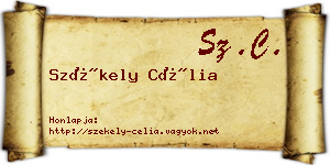 Székely Célia névjegykártya